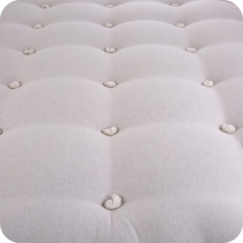 Disseny sense títol (3)